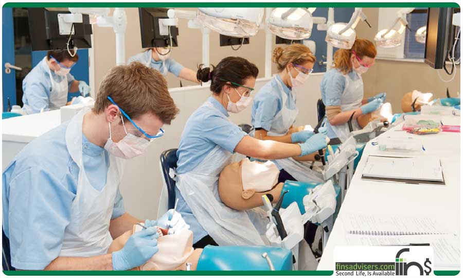 گروهی از دانشجویان دندانپزشکی در کلاس درسی دانشگاهی در مجارستان