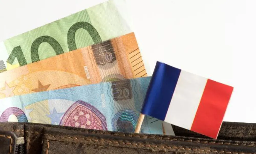 هزینه دریافت ویزای تمکن مالی فرانسه چقدر است؟